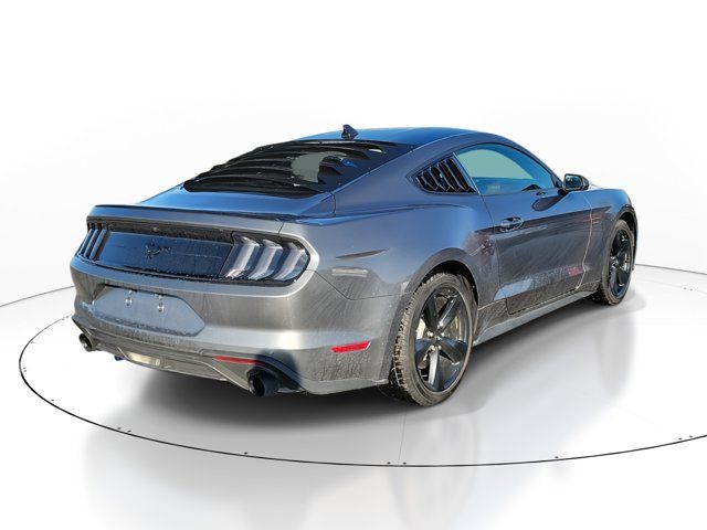 2022 Ford Mustang EcoBoost