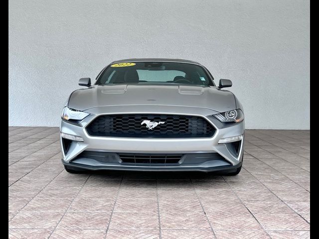 2022 Ford Mustang EcoBoost