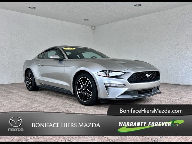 2022 Ford Mustang EcoBoost