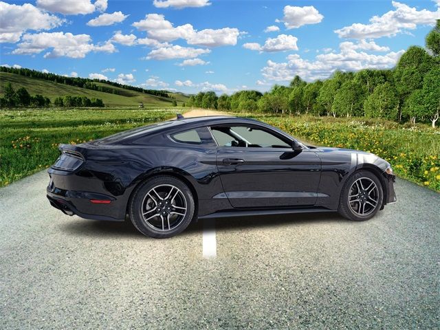 2022 Ford Mustang EcoBoost