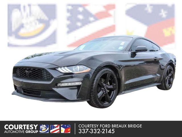 2022 Ford Mustang EcoBoost