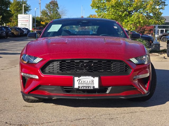 2022 Ford Mustang EcoBoost