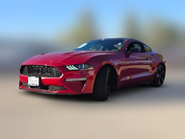 2022 Ford Mustang EcoBoost