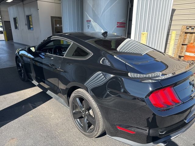 2022 Ford Mustang EcoBoost