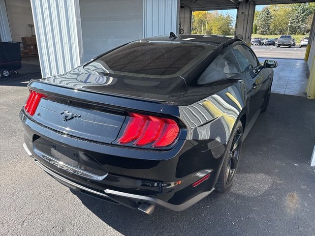 2022 Ford Mustang EcoBoost