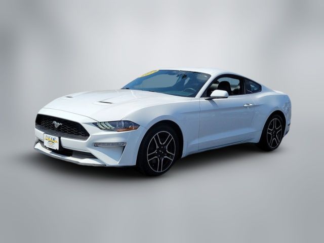 2022 Ford Mustang EcoBoost