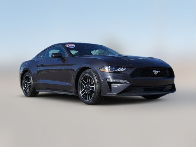 2022 Ford Mustang EcoBoost