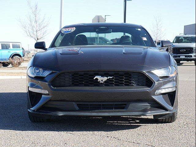 2022 Ford Mustang EcoBoost