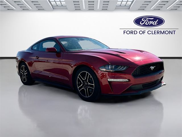 2022 Ford Mustang EcoBoost