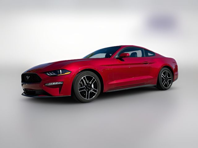2022 Ford Mustang EcoBoost