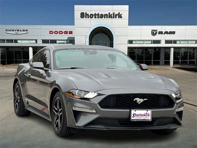 2022 Ford Mustang EcoBoost