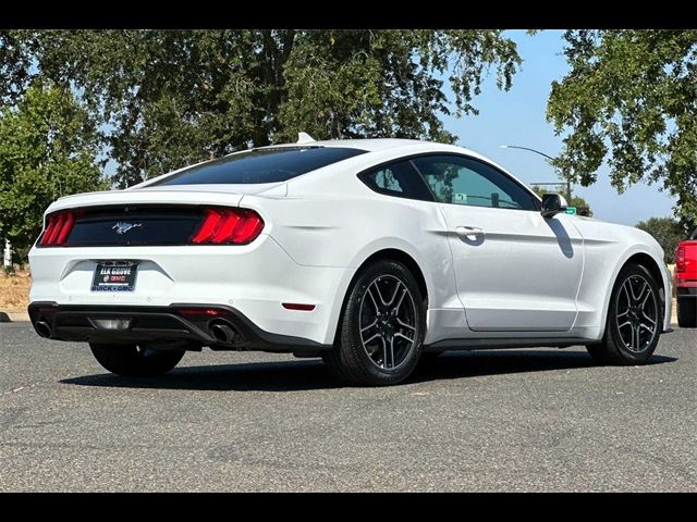 2022 Ford Mustang EcoBoost