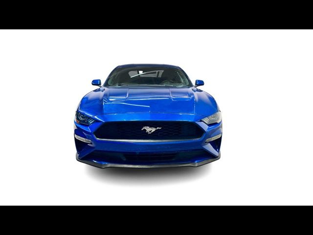 2022 Ford Mustang EcoBoost