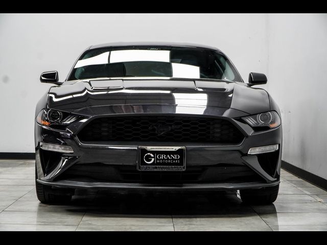 2022 Ford Mustang EcoBoost