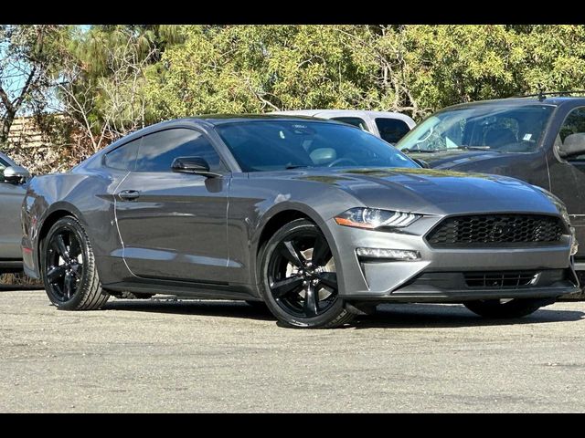 2022 Ford Mustang EcoBoost