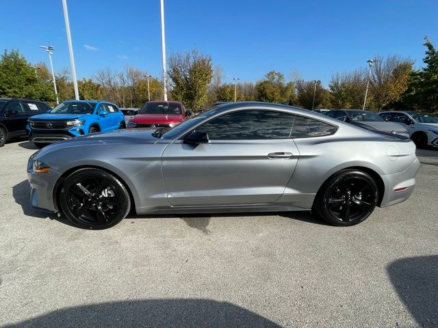 2022 Ford Mustang EcoBoost