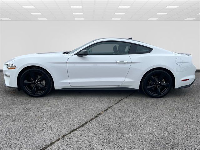 2022 Ford Mustang EcoBoost