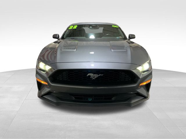 2022 Ford Mustang EcoBoost