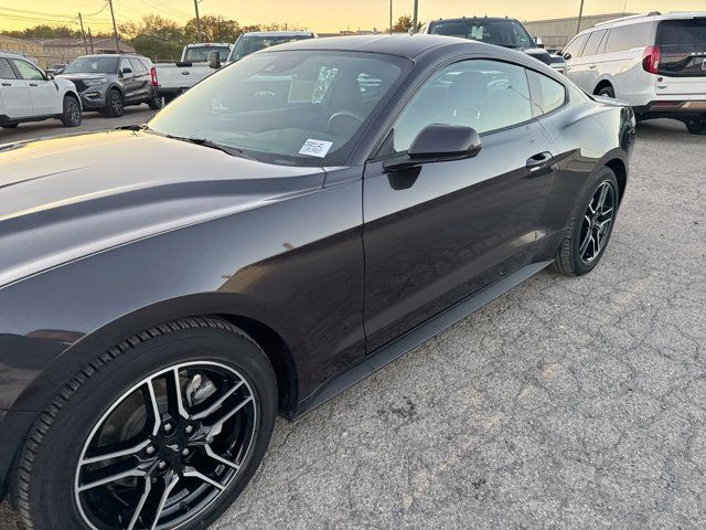 2022 Ford Mustang EcoBoost