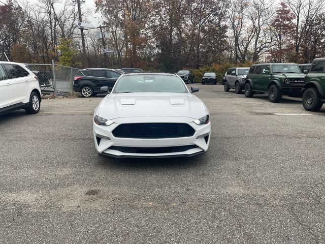 2022 Ford Mustang EcoBoost