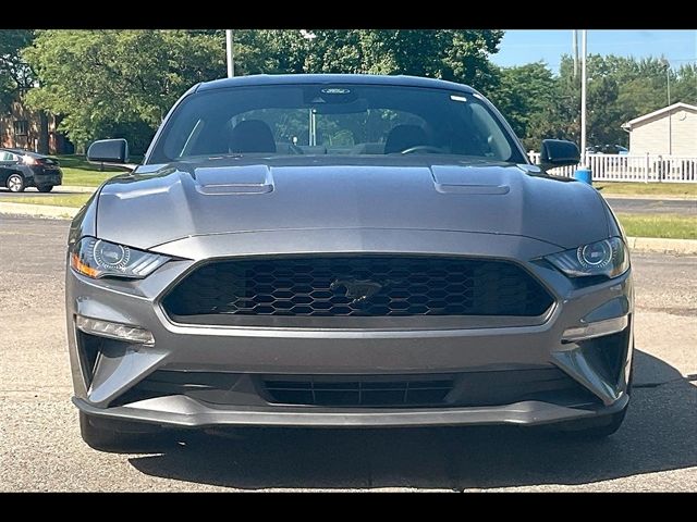 2022 Ford Mustang EcoBoost