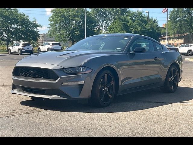 2022 Ford Mustang EcoBoost