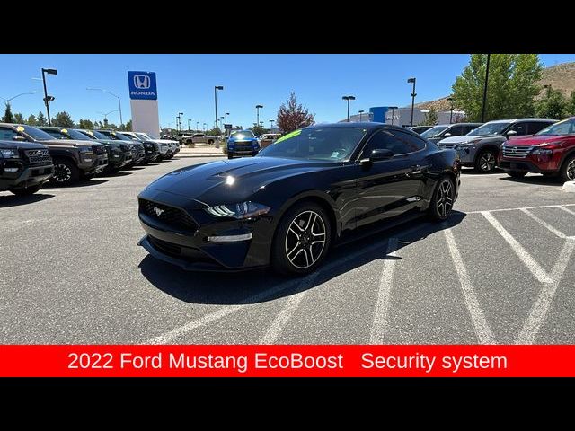 2022 Ford Mustang EcoBoost