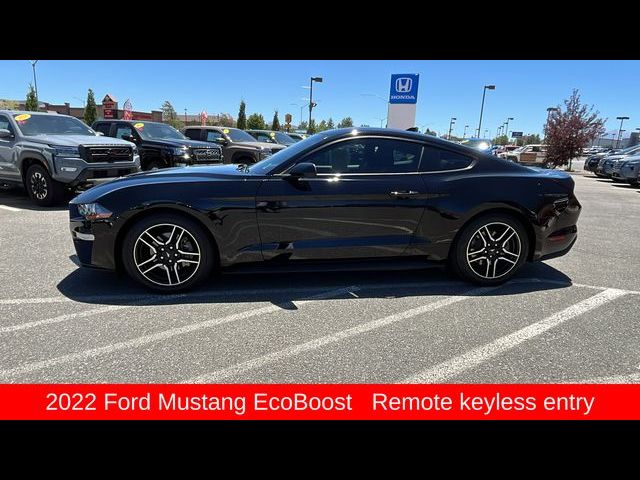 2022 Ford Mustang EcoBoost