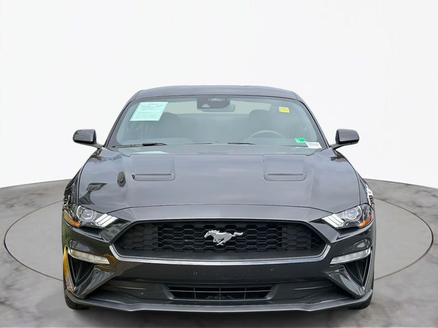 2022 Ford Mustang EcoBoost