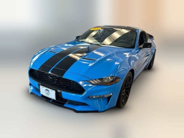 2022 Ford Mustang EcoBoost