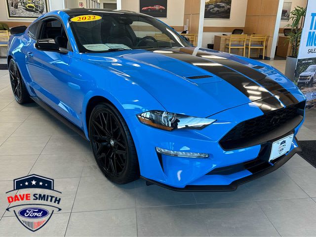 2022 Ford Mustang EcoBoost