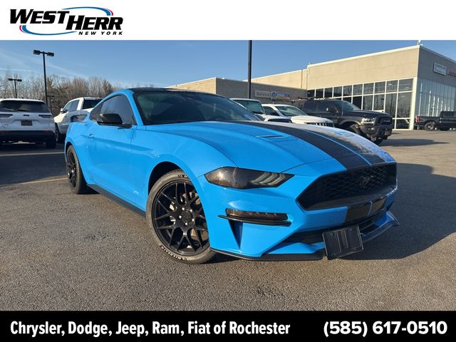2022 Ford Mustang EcoBoost