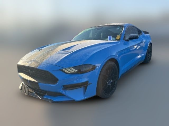 2022 Ford Mustang EcoBoost