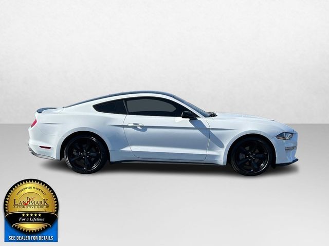 2022 Ford Mustang EcoBoost