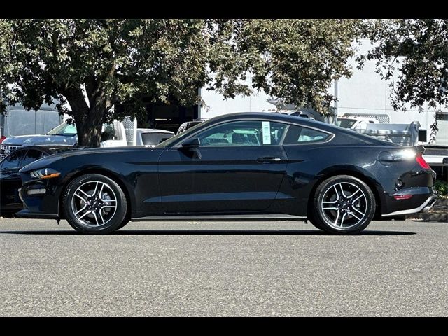 2022 Ford Mustang EcoBoost