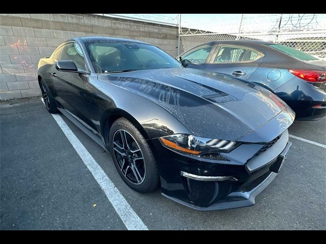 2022 Ford Mustang EcoBoost