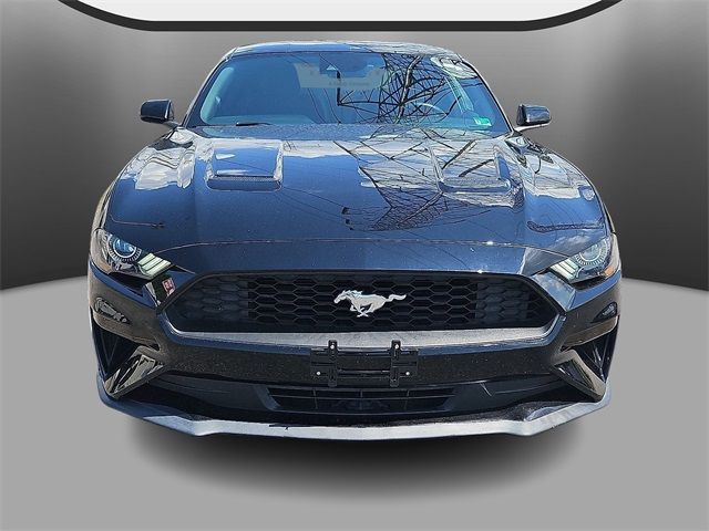 2022 Ford Mustang 
