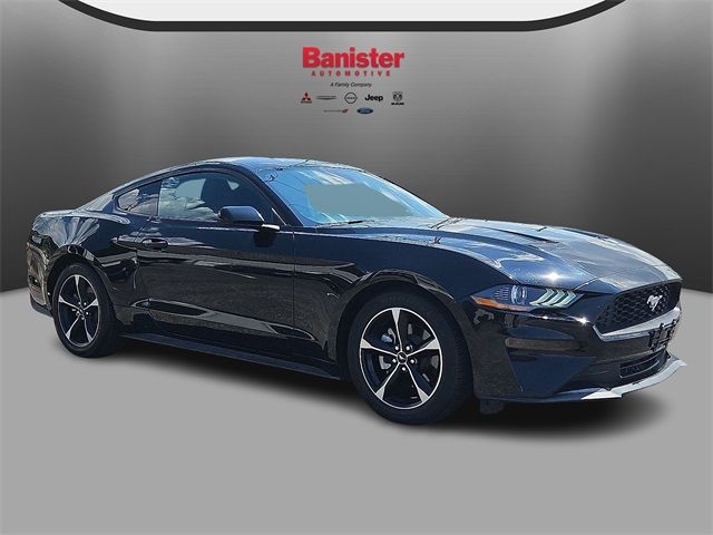 2022 Ford Mustang 
