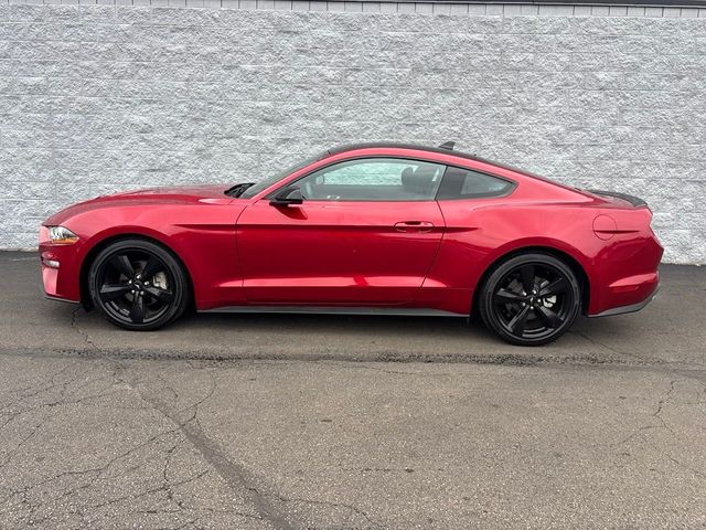 2022 Ford Mustang EcoBoost