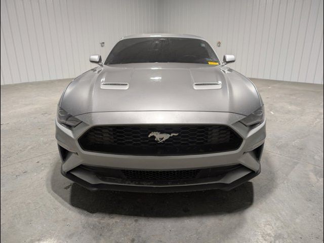 2022 Ford Mustang EcoBoost