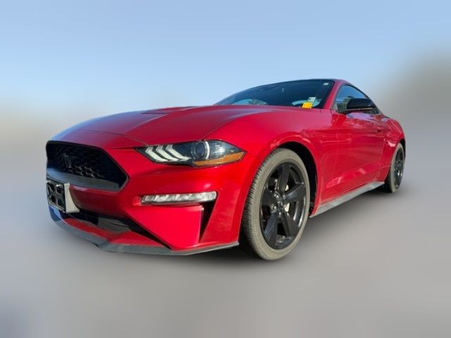 2022 Ford Mustang EcoBoost