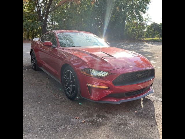 2022 Ford Mustang EcoBoost