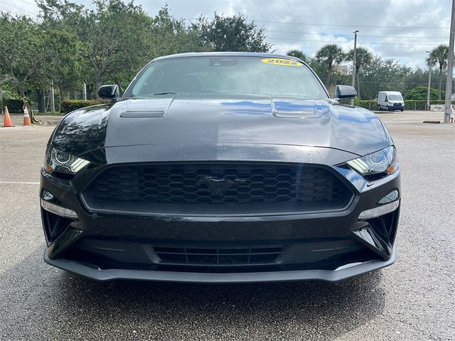 2022 Ford Mustang EcoBoost