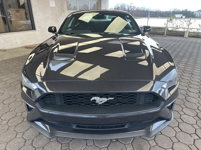 2022 Ford Mustang EcoBoost