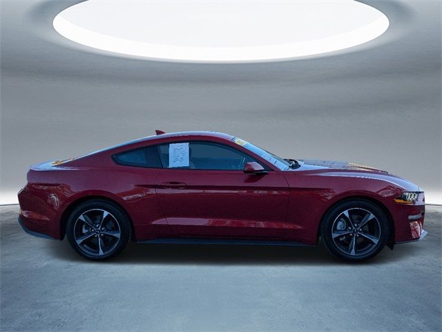 2022 Ford Mustang 