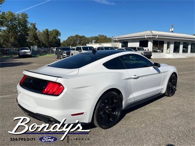 2022 Ford Mustang EcoBoost