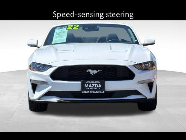 2022 Ford Mustang EcoBoost