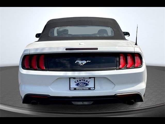 2022 Ford Mustang EcoBoost