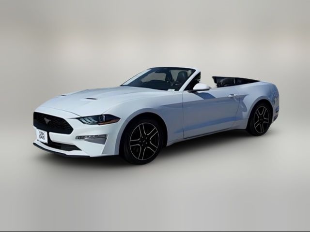 2022 Ford Mustang EcoBoost