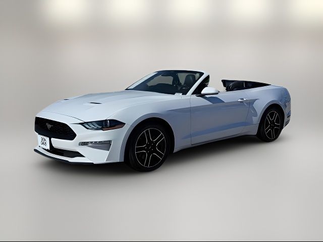 2022 Ford Mustang EcoBoost